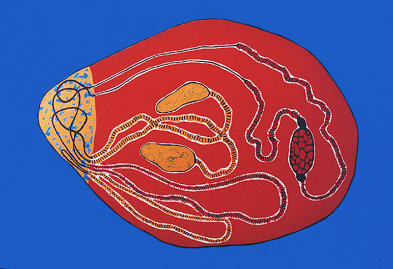 Painting Parsec Cell